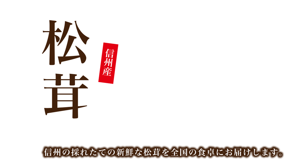 長野県下伊那産松茸　信州の採れたての新鮮な松茸を全国の食卓にお届けします。