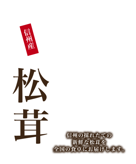 長野県下伊那産松茸　信州の採れたての新鮮な松茸を全国の食卓にお届けします。