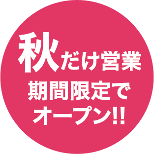 秋だけ営業　期間限定でオープン！